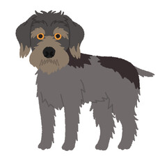 ワイアーヘアードポインティンググリフォンの犬イラスト