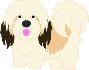 ハバニーズの犬イラスト