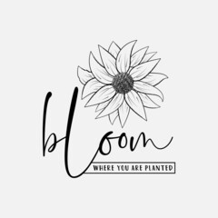 Bloom where you are planted. sunflower motivational quotes, typography for t-shirt, poster, sticker and card