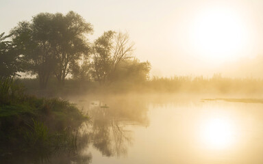 Sunrise over the river. Early foggy morning. Reflection of the sun in the water. Tree by the river.