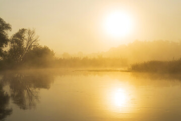 Sunrise over the river. Early foggy morning. Reflection of the sun in the water. Tree by the river.