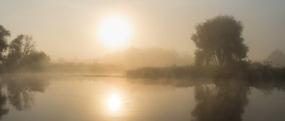 Fototapeta premium Sunrise over the river. Early foggy morning. Reflection of the sun in the water. Tree by the river. Panorama of several photos.