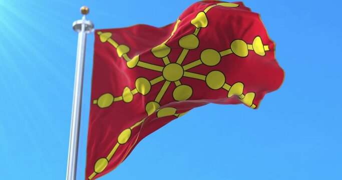 Royal Banner of Navarre, Spain. Loop