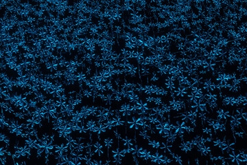 Snowflakes on a black background, abstract New Year's winter background, 3d rendering