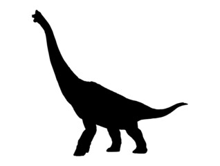 Brachiosaurus  , dinosaur on isolated background .