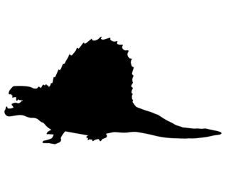 Dimetrodon  ,  dinosaur on isolated background .