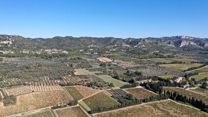 survol des champs d'oliviers dans le massif des Alpilles en Provence dans le sud de la France