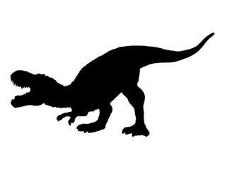 Obraz na płótnie Canvas Tyrannosaurus T-rex , dinosaur on isolated background .