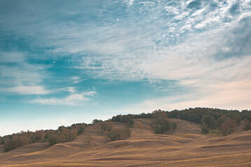 Fototapeta na wymiar Landscape of a beautiful hill at sunset, trees nearby.