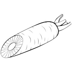 Half carrot. Vector illustrations in hand drawn sketch doodle style. Line art organic vegetable isolated on white. Element for coloring book, design, print.