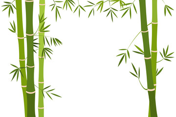Bamboo stalk with green foliage on a white background. flat design vector illustration on white background.