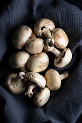 fresh, delicious and healthy mushrooms on dark cloth and black background