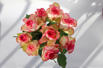 front top photo of a bouquet of pink roses on a white background, studio shoot