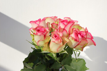 bouquet of pink roses on a white background, studio shoot