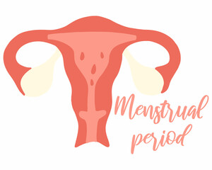 Female menstruation.Banner with menstruation period. menstrual period. Uterus.