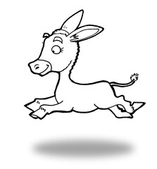 Cute Little Donkey
