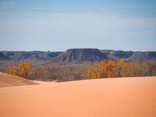 Trees and Sand Dunes in Little Sahara State Park in Waynoka, USA