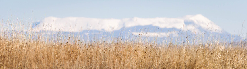 Grass and mountain