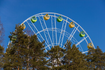 Fototapeta premium Ferris wheel above the trees