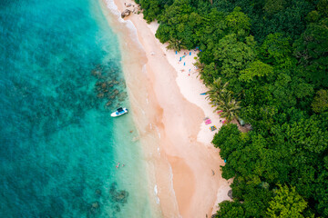 Tropical Jungle Beach in Sri Lanka. Aerial view of Exotic Costline and Rainforest. Paradise Beach. - obrazy, fototapety, plakaty