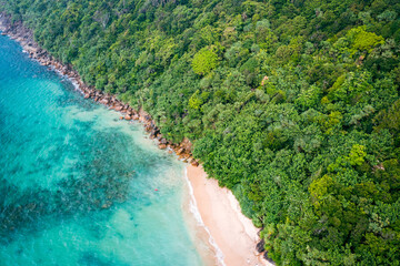 Naklejka na ściany i meble Tropical Jungle Beach in Sri Lanka. Aerial view of Exotic Costline and Rainforest. Paradise Beach.