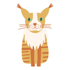 Maine Coon Cat portrait on isolated background. Vector illustration.