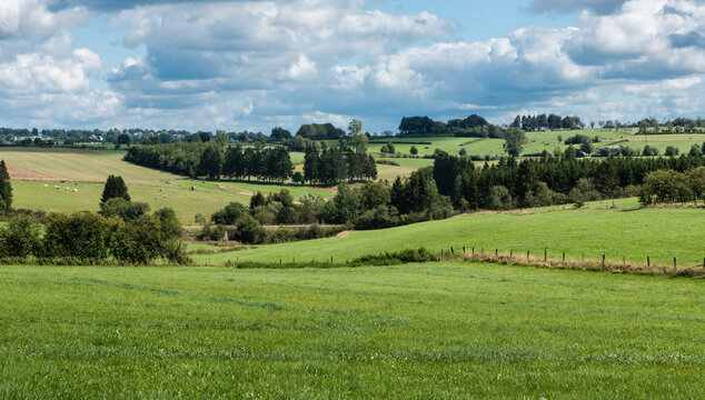 Nature landscapes with green hills at woods during summer at the East Belgian Countryside around Bullingen, Belgium