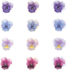 Fototapeta na wymiar Set of pansy flowers in a watercolor style. Floral objects on white and colored background for postcards and invitations. All objects are isolated