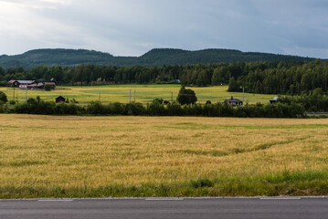 Fototapeta na wymiar View over the Swedish countryside around Segersta with Agricultural fields, trees, grass and wheetfields