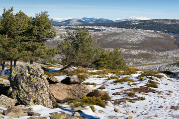 Nieve en la Sierra de Malagón. Segovia. España.