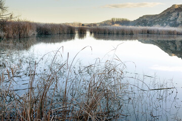 Cañaverales y reflejos en la Laguna de San Juan. Madrid. España.