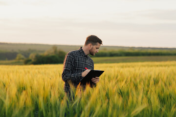 Farmer agronomist standing in a wheat field with folder and makes the notes in an agricultural field.
