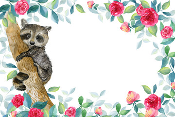 raccoon watercolor illustration. for printing on postcards and posters