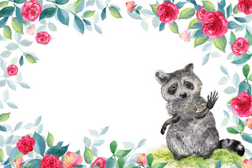 raccoon watercolor illustration. for printing on postcards and posters