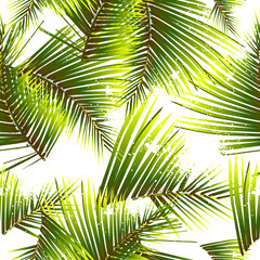 Seamless background palm leaves. Vector illustration