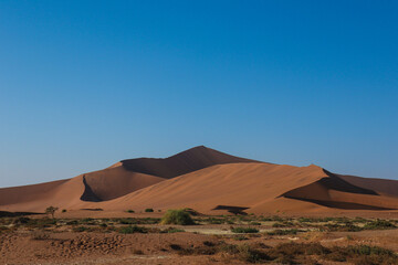 Fototapeta na wymiar The big daddy dune