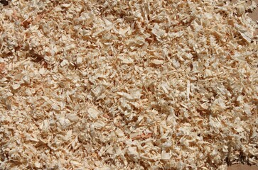 light brown sawdust as bedding