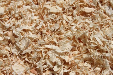 light brown sawdust as bedding