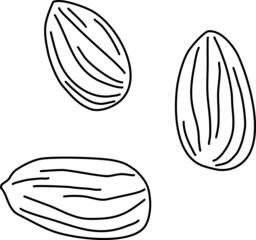 アーモンド3粒_線画