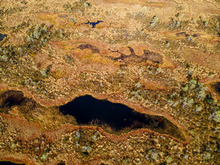 Swamp, bog and lakes in Estonian nature reserve Kakerdaja. Drone aerial view