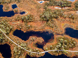 Wooden hiking trails in swamps or bog in Estonian nature reserve Kakerdaja. Drone aerial view