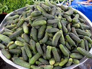 Cornichon cucumbers to use to make pickles on a farmers market stall in the Aegean coastal town Yalikavak, Bodrum, Turkey.  