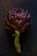 The globe artichoke is a variety of a species of thistle cultivated as a food..The edible portion of the plant consists of the flower buds.