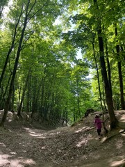little girl walking in the forest