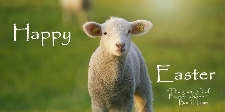 Happy Easter: "frohe Ostern und Hoffnung"