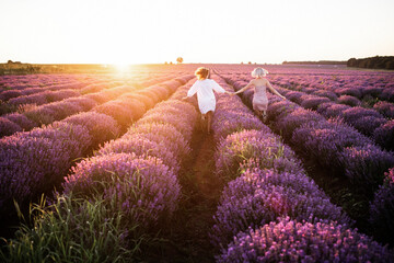 Mom and daughter run together in a purple lavender field. Friendly relations between a teenage girl and the mother of a woman in transition. Two women hold each other's hands.