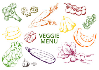 Hand drawn vintage multicolor sketch. Outline vector image of vegetables set. Eps design template Print for restaurant vegetarian menu, placemat, label, poster, banner, pattern
