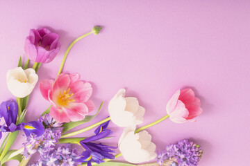 beautiful flowers on paper background