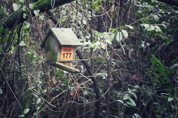 wooden bird house