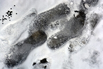 Unusual human footprints from shoes on a white snow road in winter. 